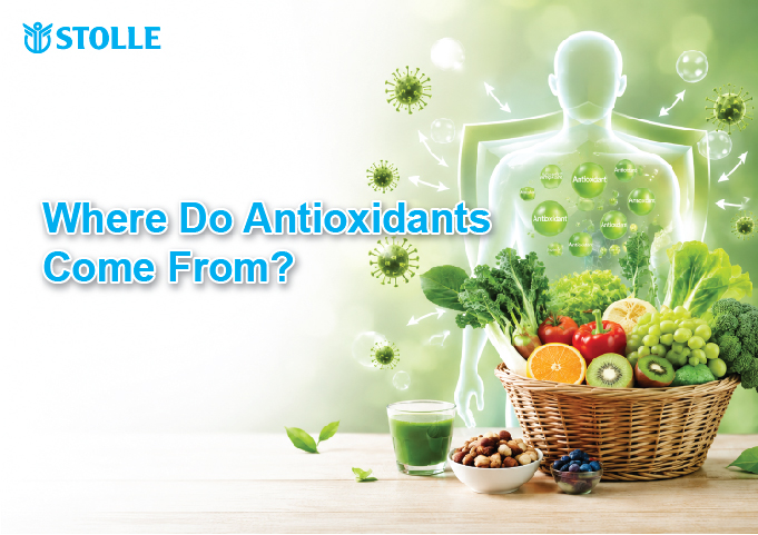 Where Does Antioxidant Protection Come From?