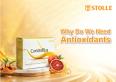 Why Do We Need Antioxidants?