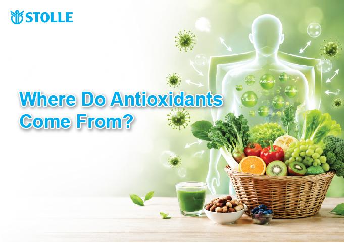 Where Does Antioxidant Protection Come From?
