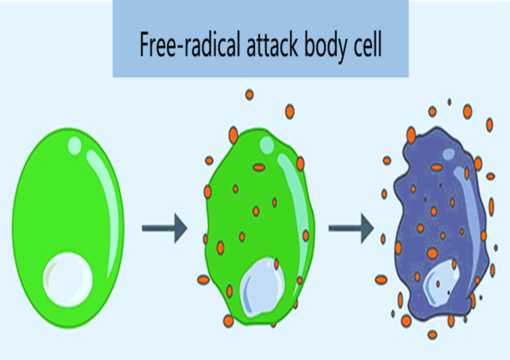 Free-Radical Damage